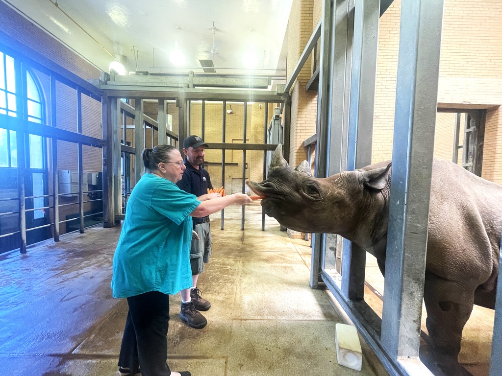 Sue goes to the Zoo